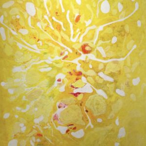 Trópico-Amarillo Grande